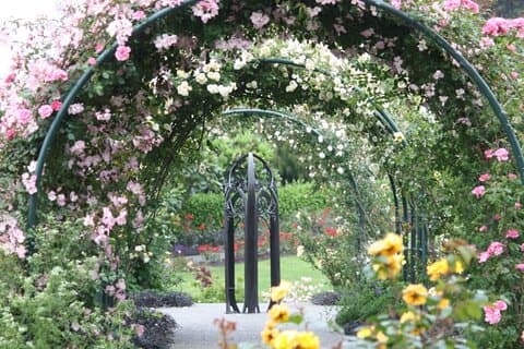 Auckland Discovery: Botanic Gardens, Historic Village, Mt.Eden