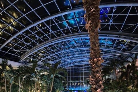 Inngangsbillett til Therme Elysium med privat tur