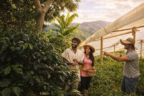 Private halbtägige Kaffeetour auf einer Familienfarm in der Nähe von Medellín!