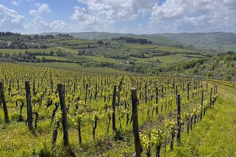 Private Chianti Tour by Van with Wine Tasting from Lucca
