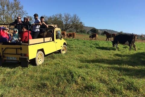 Mezza giornata fuori strada Jeep Safari