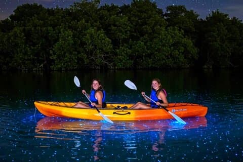 Vieques Bio Bay Tour and Beach Day Trip from San Juan by Ferry