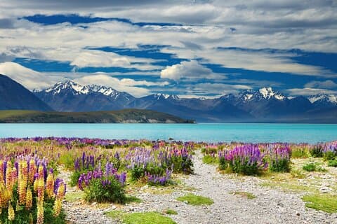Queenstown til Lake Tekapo: Enveis naturskjønn privat transfer
