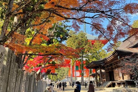 Koyasan Wakayama : Okunoin, Kongobuji & Garan com Guia Certificado