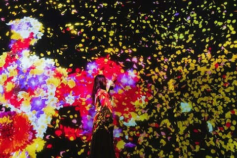 TeamLab Planets kunst og Tsukiji marked mat tur i Tokyo