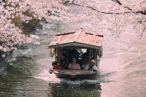 Kyoto Cherry Blossom Private Tour Experiência de passeio de barco