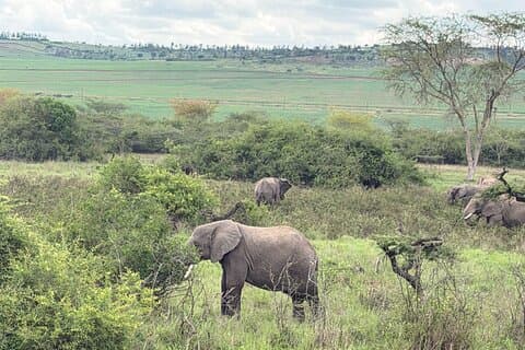 Privado 1 dia Big Five Safari em Akagera de Kigali