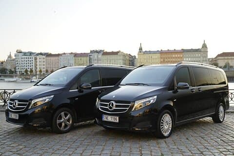 Trasferimento privato in minivan andata e ritorno a Versailles da Parigi