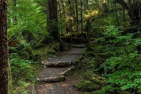 3 Hour Small Group Rainforest Eco Tour