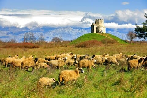 Zadar og Nin Privat tur Kultur Smagning og historie