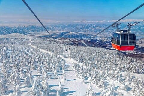 Sendai Ginzan Onsen, Zao Ropeway Snow Monsters with Lunch tour