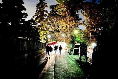 成田 : 成田山で夜明けか夜か、神聖な時間