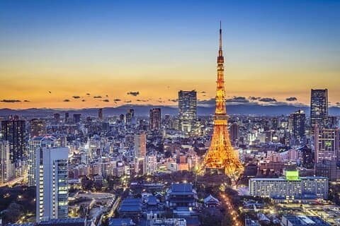 Yokohama/Tokyo Port to Disney: Ticket + Transfer & Tour Privado