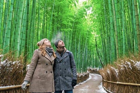 Kyoto: Arashiyama Unveiled – Bamboo, Temple, Matcha, Monkeys