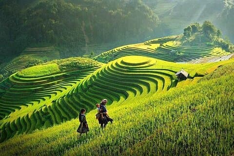 Authentic Sapa Trekking and Village Homestay Escape