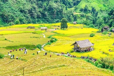 Fuld dag Sapa biltur Muong Hoa Valley og Nam Cang
