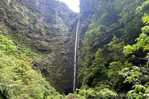 Levada do Caldeirão Verde – privater Nachmittagsspaziergang