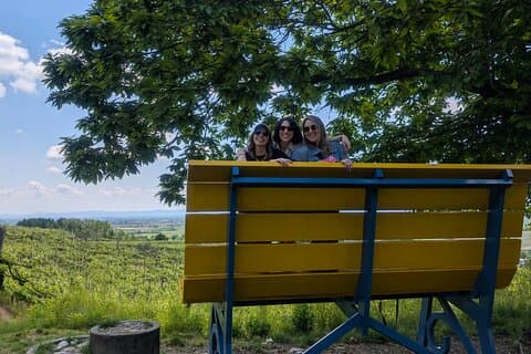 Private Wine Tour · Barolo beyond the crowds · From Milan