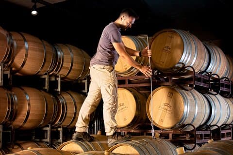 Visite de la cave & dégustation de vin à la cave de Douloufakis