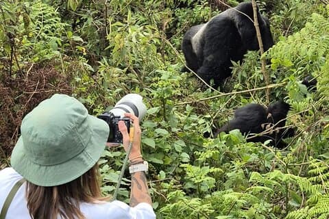 2 Tage Ruanda Gorilla Trekking und Kultur Erfahrung