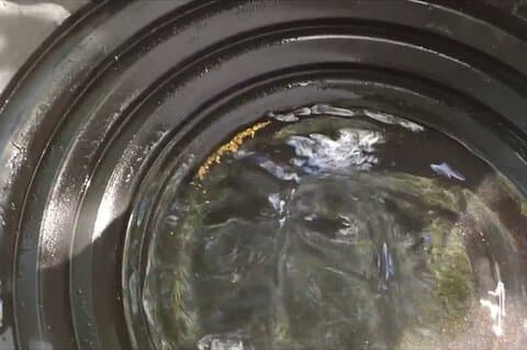 Golden Heart Tour gold panning, Arctic Animals Local Treasures