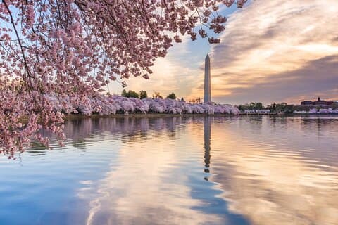 Washington DC Scavenger Hunt & Self-Guided Walking Audio Tour