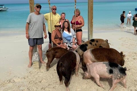 Rose Island Private Beach: Swimming with the Pigs