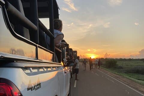 Mezza giornata Safari Jeep Tours