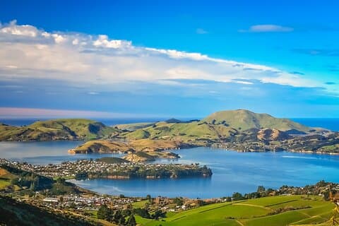 Private Shore Tour – Upptäck Dunedin och Otagohalvön