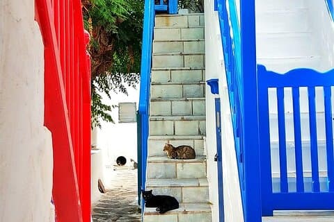 Excursão de Mykonos Classic Island