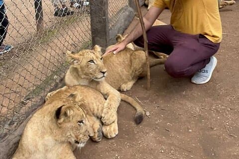 Privétour door Harare Wildlife : Lion Park, vogelpark & Snake Park