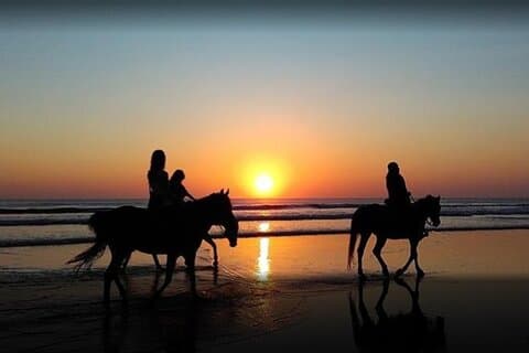 Horse riding