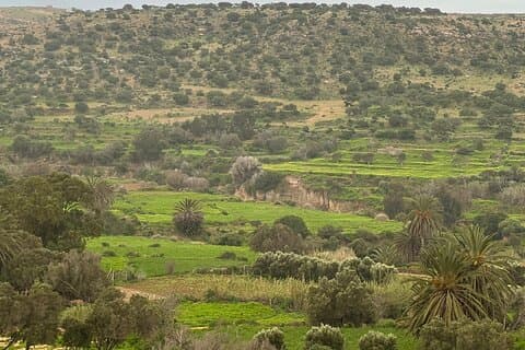 Sidi M'barek Waterfall Nature Lunch facing the Ocean