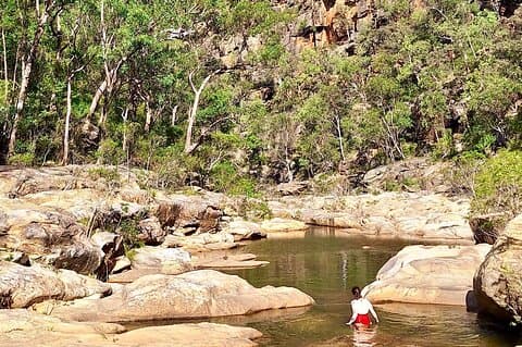 Blue Mountains Eco Tour, 3 hour experience - close to Sydney