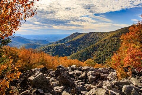 Shenandoah Private Skyline Drive Tagestour von Washington DC