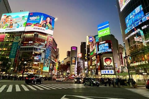 Private Tour zu Fuß in Tokio - Alle Highlights an einem Tag ansehen