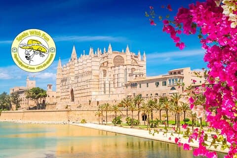Hoteller i nærheden af Mallorca Highlights VIP Private Tour