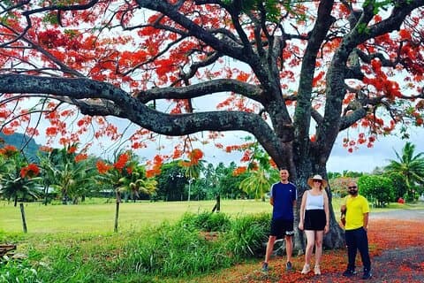 "Walk-about" Tour: utforska Rarotonga till fots!