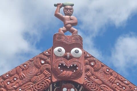 Tauranga Shore Exc : Whakarewarewa, Geyser, Forest Walk og fall