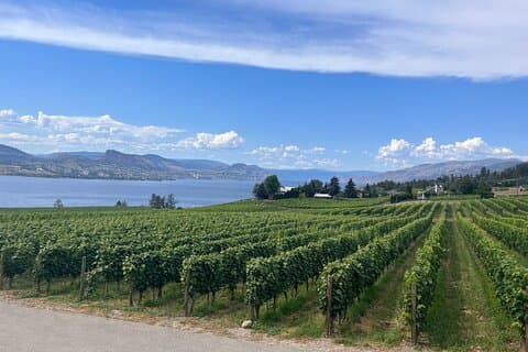East Kelowna Wine Route Tour Degustazioni panoramiche e cantine locali