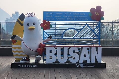 Busan private tour + Korean language lesson (pick up included)