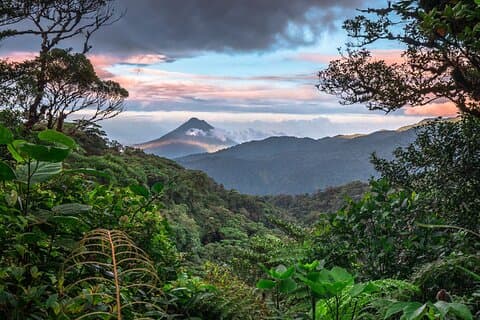Privat transport Arenal til Monteverde - Premium service VIP