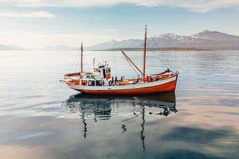 Crociera serale di pesca