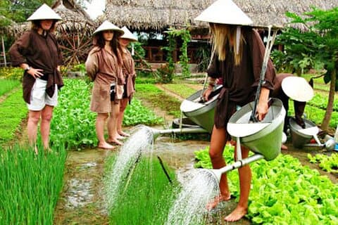 Tra Que Village Experience et cours de cuisine vietnamienne à Hoi An