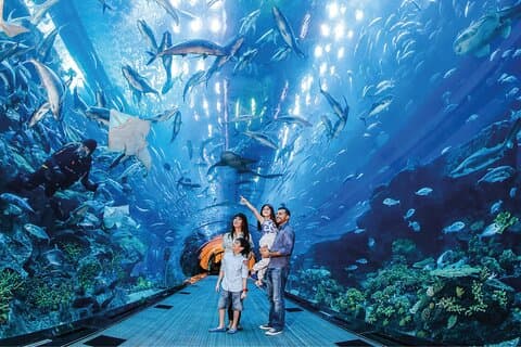 Dubai Stopover Attraktioner Pass 2, 3 eller 4 biljetter