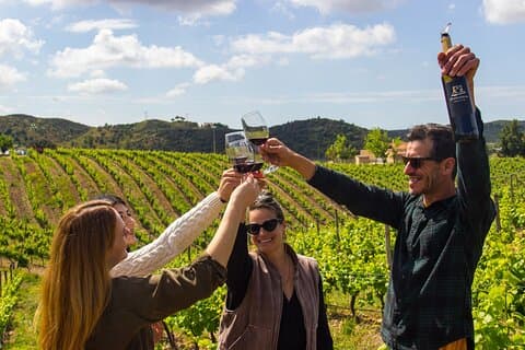 Esplorazione privata del vino e dei laghi : vigneti e panorami