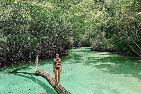 Private Tour of Samaná with Lemon Jump and Playa Rincón