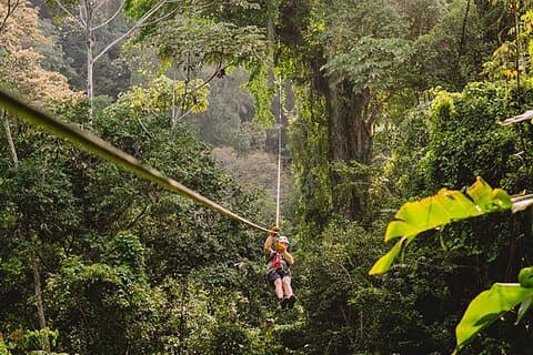 2) Tirolesa en la selva tropical con transporte