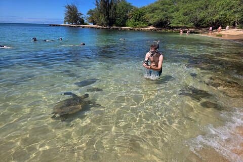 Oahu Small-Group Circle Island Tour with Turtle Snorkeling