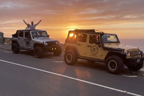 Tour en jeep por Ciudad del Cabo con pingüinos Paseo panorámico y vino